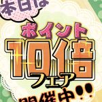 店内全品【ポイント１０倍】♪国産陶器フェアはじまります！！《スキレット日記：2024-08-02@高松市多肥下町・スキレット》