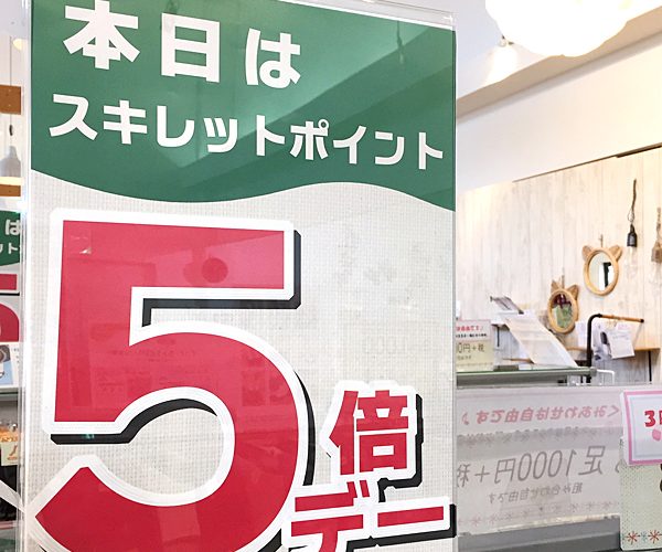 ことしさいごの！ポイント５倍ワイド開催！★12月19日から21日まで♪《スキレット日記：2025-12-19@スキレット》