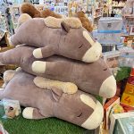 午年（うまどし）だから！？ねむねむの「うま」がカワイイのです♪《スキレット日記：2026-01-29@高松市多肥下町・スキレット》